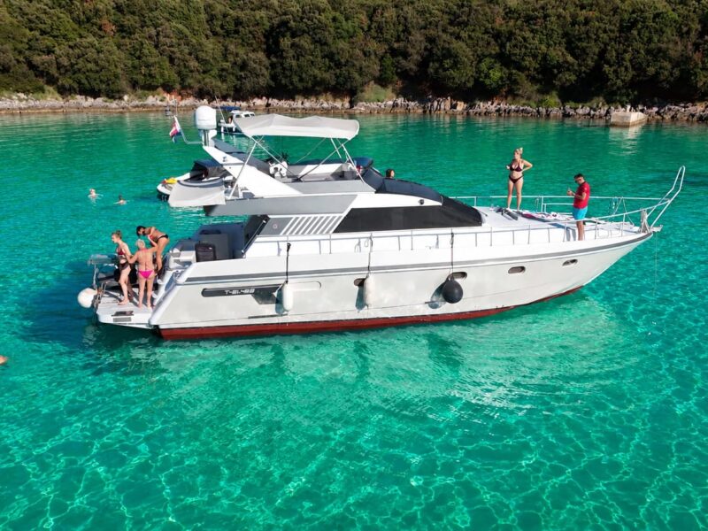 Dolphin Excursion private boat tour in Pula and Brijuni